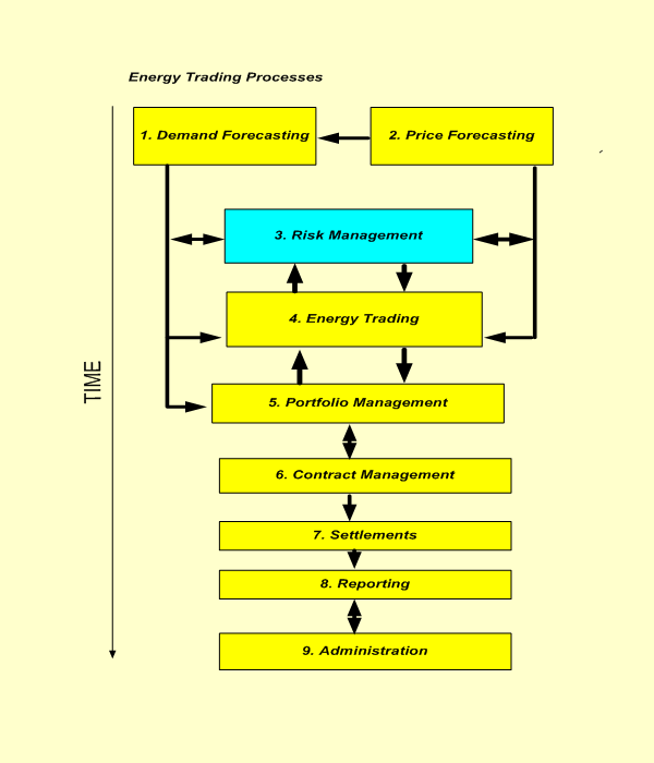 Risk Management graphic image